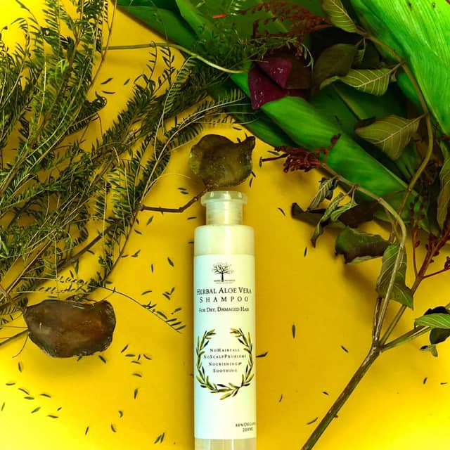 Herbs & Herbage Herbal Aloe Vera Shampoo